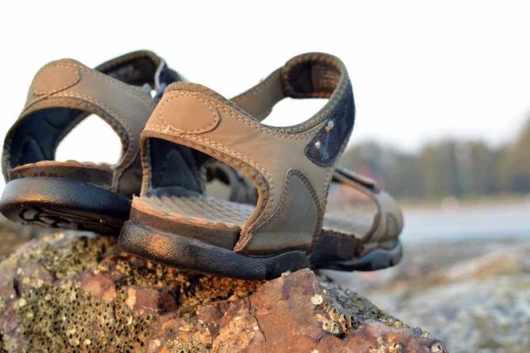 Best Shoes For Foot Drop Best Reviews Guide [2024]