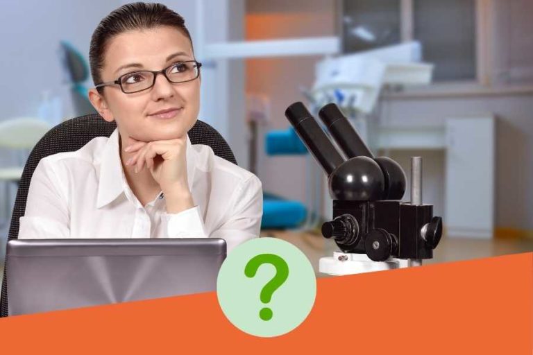 Best Shoes For Laboratory Work In 2024