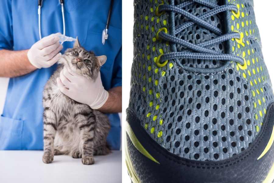 Best Shoes for Vet Techs Buying Guide _ Breathability